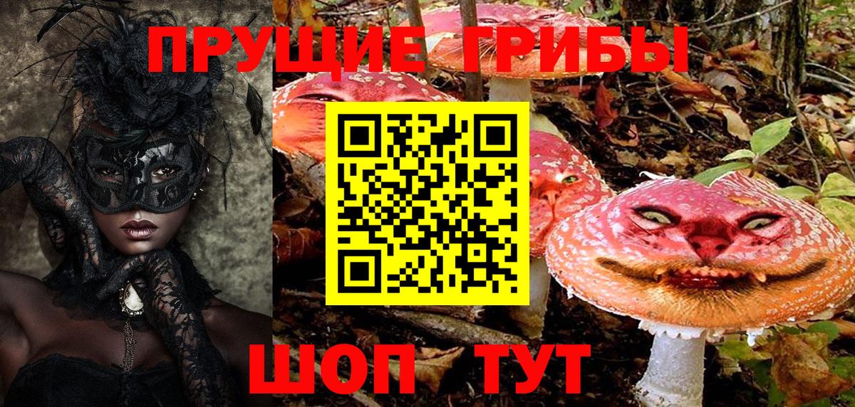 Альметьевск  Псилоцибиновые грибы Cubensis  Вход с VPN  Галлюциногенные грибы Magic Shrooms 